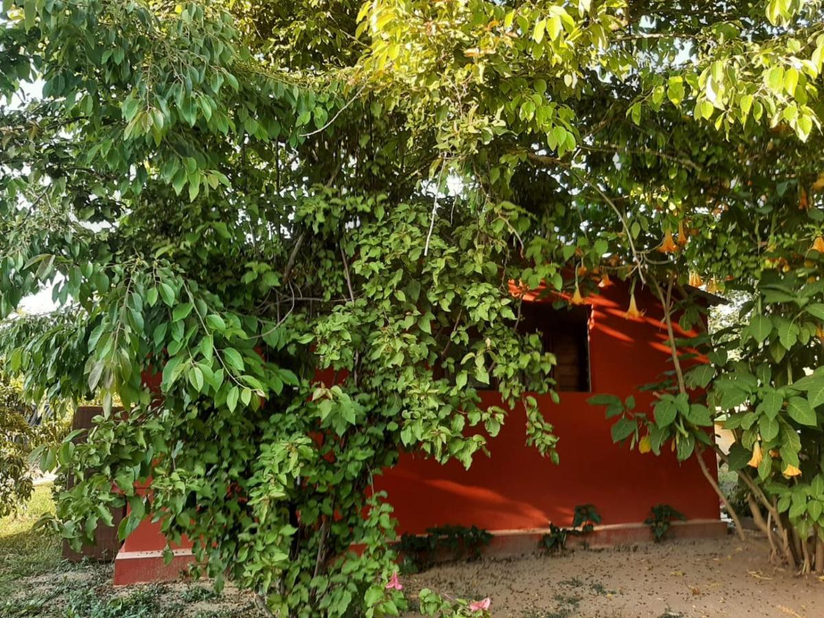 Casa Di Campagna Dal Pozzo Sorso Ngoại thất bức ảnh