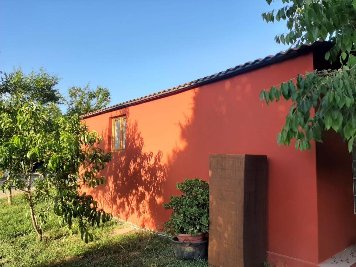 Casa Di Campagna Dal Pozzo Sorso Ngoại thất bức ảnh