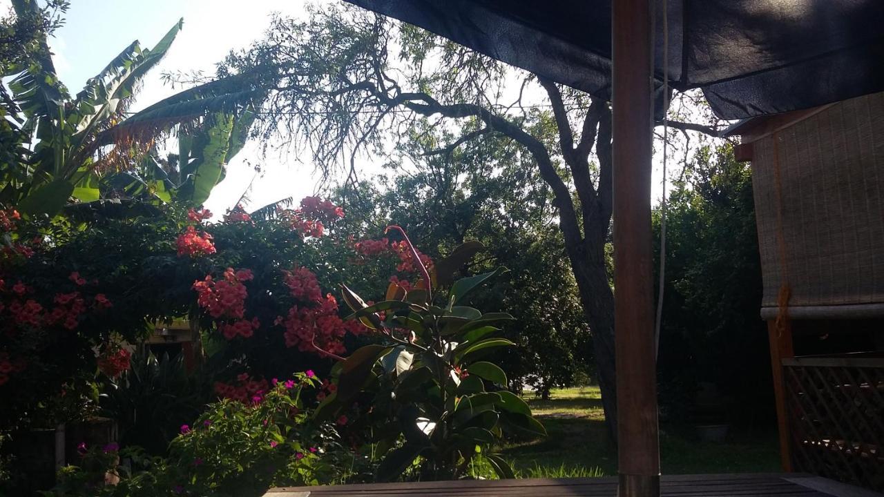 Casa Di Campagna Dal Pozzo Sorso Ngoại thất bức ảnh